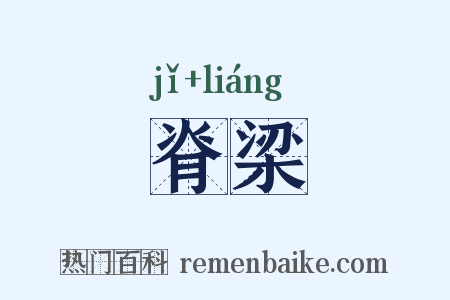 脊梁是什么意思的图片